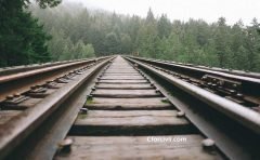 Wooden sleepers in Railway Tracks